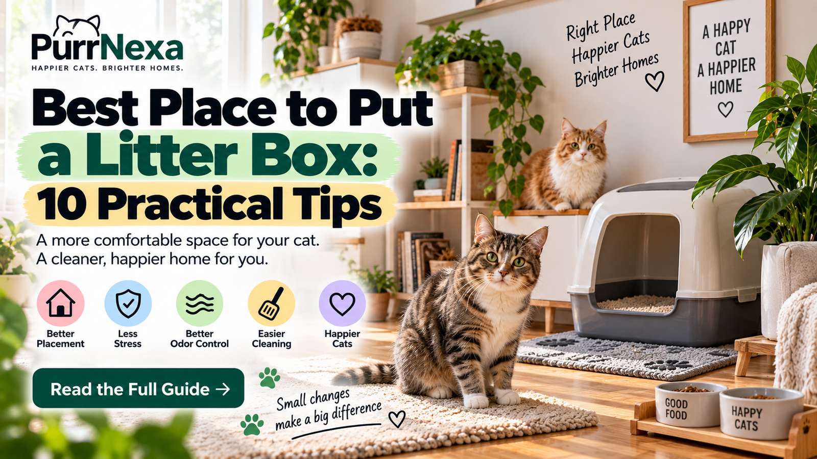Best Place to Put a Litter Box: 10 Practical Tips for Your Home